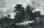 RUISDAEL, Jacob Isaackszon van House in a Grove oil painting picture wholesale
